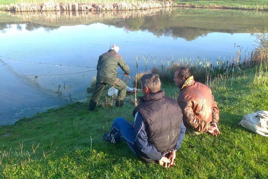 Diverse - 1426142323703667771429787590812n.jpg